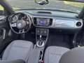 Volkswagen Coccinelle 1.2 TSI 105cv VINTAGE DSG7 Gris - thumbnail 27