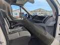 Ford Transit 350 125cv L3H2 Van Trend Delantera Blanco - thumbnail 19