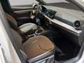 SEAT Ibiza 1.0 TSI S&S Xcellence 110 Weiß - thumbnail 18