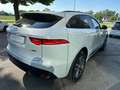 Jaguar F-Pace F-Pace2.0d i4 R-Sport awd 240cv auto my18 Blanc - thumbnail 7