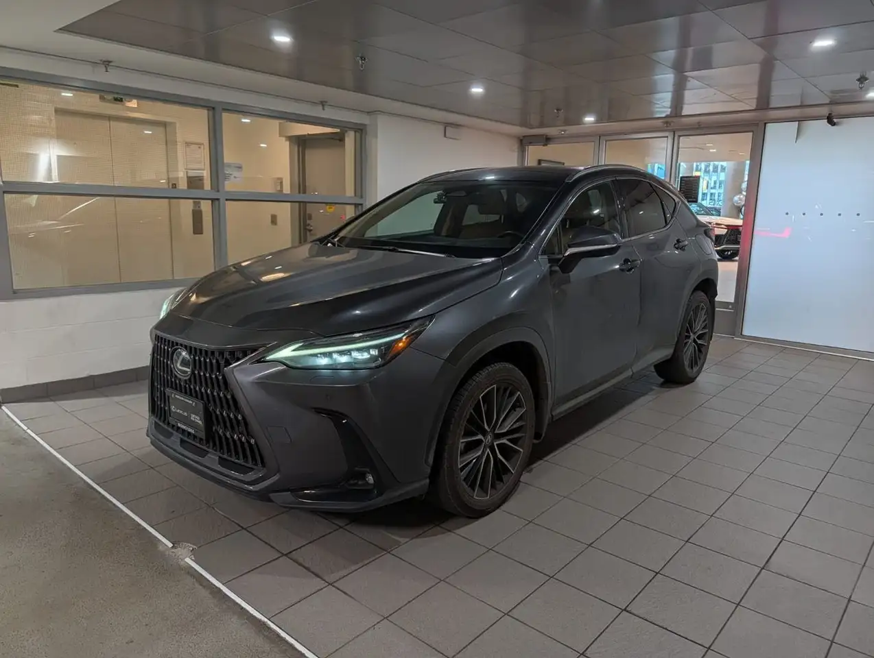 2024 Lexus NX