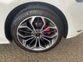 Ford Focus ST-LINE X VIGNALE 1.0 125 PK MET PANODAK / 1 JAAR Wit - thumbnail 14