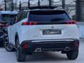 Peugeot 2008 BlueHDi 130 S&S EAT8 GT TETTO Blanc - thumbnail 13