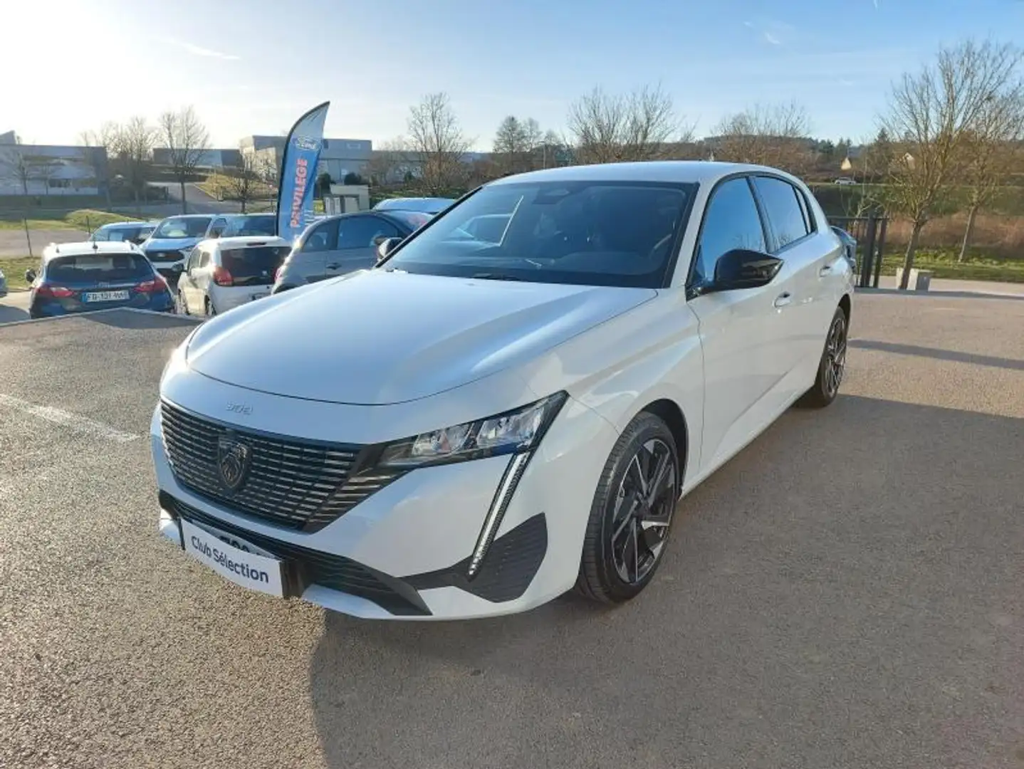 Peugeot 308 1.5 BlueHDi 130ch S\u0026S Allure EAT8 Blanc - 1