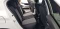 Fiat Tipo Hybrid 1.5 eDCT7 130 Cross 5T Weiß - thumbnail 9
