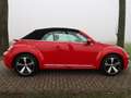 Volkswagen Beetle Cabriolet 1.2 TSI Sound Xenon Fender Camera Naviga Rood - thumbnail 32