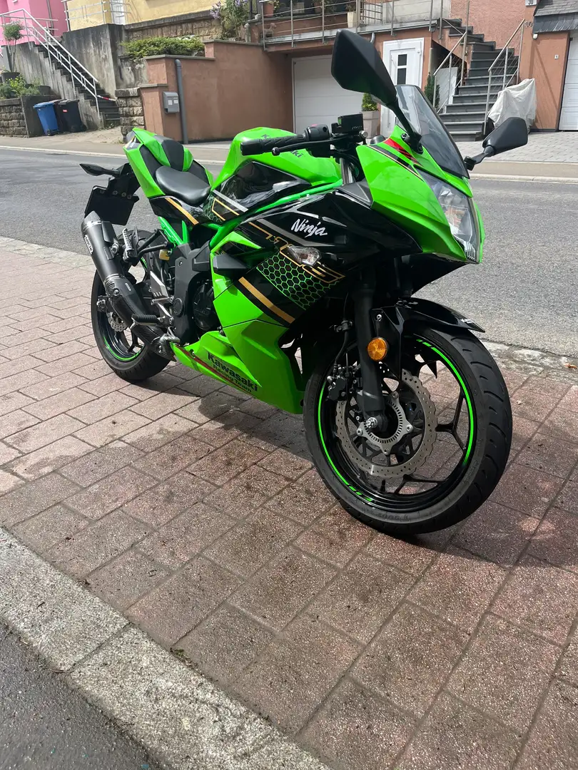 Kawasaki Ninja 125 Verde - 2
