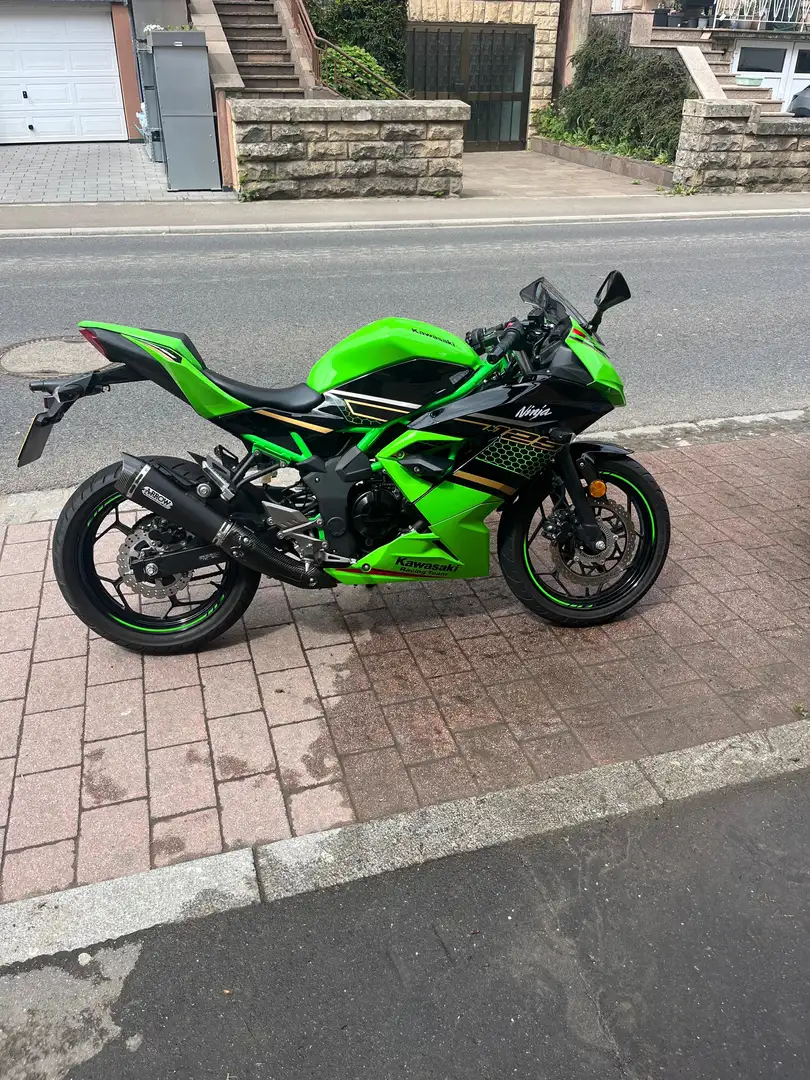 Kawasaki Ninja 125 Verde - 1
