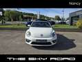 Volkswagen Coccinelle Coccinelle Cabriolet GT COX 2.0 TSI 200ch Weiß - thumbnail 3