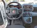 Fiat Panda 1.0 70cv E6D Hybrid CROSS - PREZZO SENZA VINCOLI Blanc - thumbnail 8