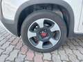 Fiat Panda 1.0 70cv E6D Hybrid CROSS - PREZZO SENZA VINCOLI Blanc - thumbnail 14