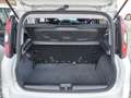 Fiat Panda 1.0 70cv E6D Hybrid CROSS - PREZZO SENZA VINCOLI Blanc - thumbnail 7