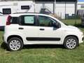 Fiat Panda Panda III 2012 0.9 t.air METANO NEOPATENTATO Bianco - thumbnail 5