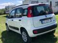 Fiat Panda Panda III 2012 0.9 t.air METANO NEOPATENTATO Bianco - thumbnail 3