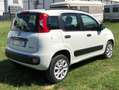 Fiat Panda Panda III 2012 0.9 t.air METANO NEOPATENTATO Bianco - thumbnail 4
