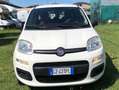 Fiat Panda Panda III 2012 0.9 t.air METANO NEOPATENTATO Bianco - thumbnail 6