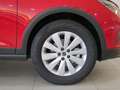 SEAT Arona 1.0 TSI S&S Xperience XM 115 Rojo - thumbnail 8