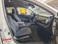 Subaru OUTBACK Outback 2.5i Active Weiß - thumbnail 14