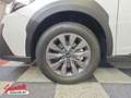 Subaru OUTBACK Outback 2.5i Active Weiß - thumbnail 8