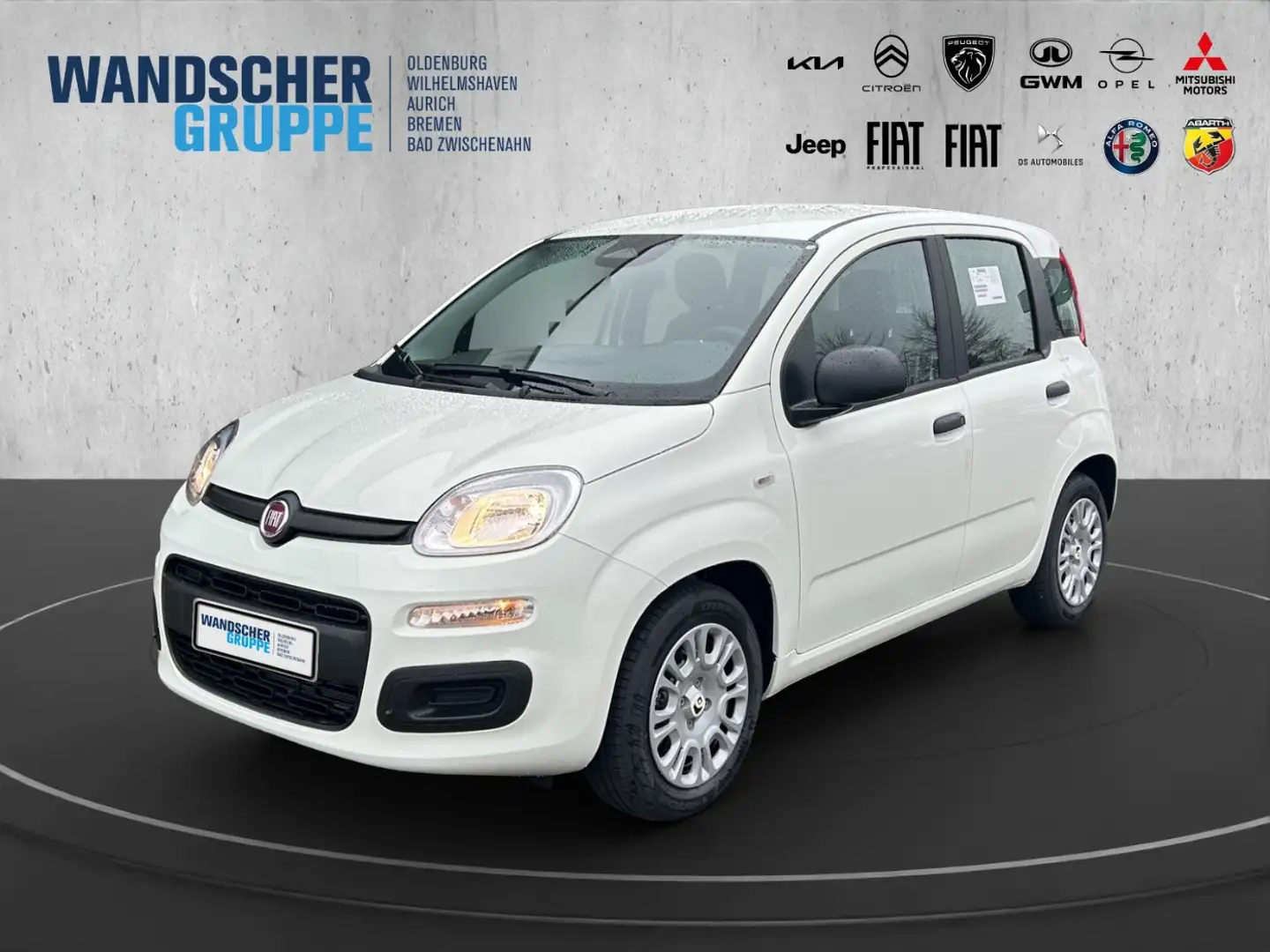 Fiat Panda MY25 Hybrid 1.0 GSE PDC TEMPOMAT NOTBREMS Weiß - 1