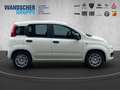 Fiat Panda MY25 Hybrid 1.0 GSE PDC TEMPOMAT NOTBREMS Weiß - thumbnail 6