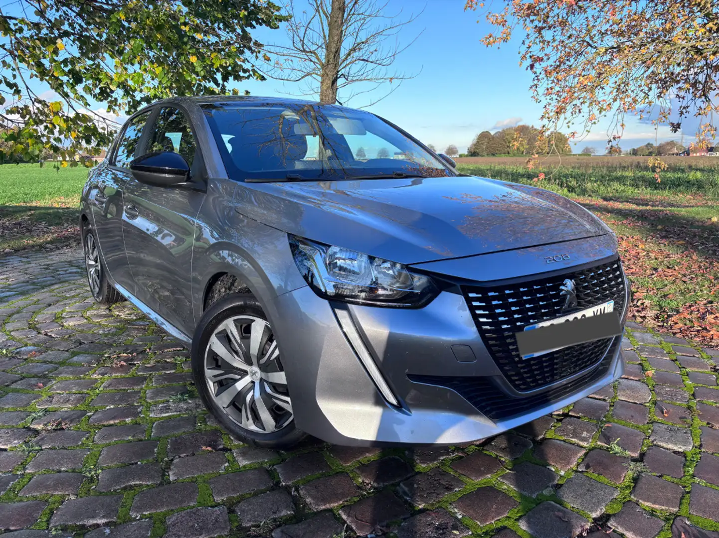 Peugeot 208 BLUEHDI 100 S&S BVM6 ACTIVE BUSINESS R - 2