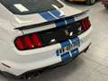 Ford Mustang GT350 TRACK PACK Blanco - thumbnail 7