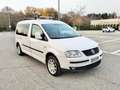 Volkswagen Caddy Caddy Maxi 1.9 TDI 105CV 7Posti*Clima*Aux*Cerchi Weiß - thumbnail 1