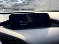 Mazda 3 3 2.0 M-HYBRID / 150pk / 43000km / 12m waarborg Argent - thumbnail 15