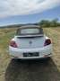 Volkswagen Beetle Cabrio 1,2 TSI - thumbnail 2
