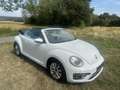 Volkswagen Beetle Cabrio 1,2 TSI - thumbnail 7