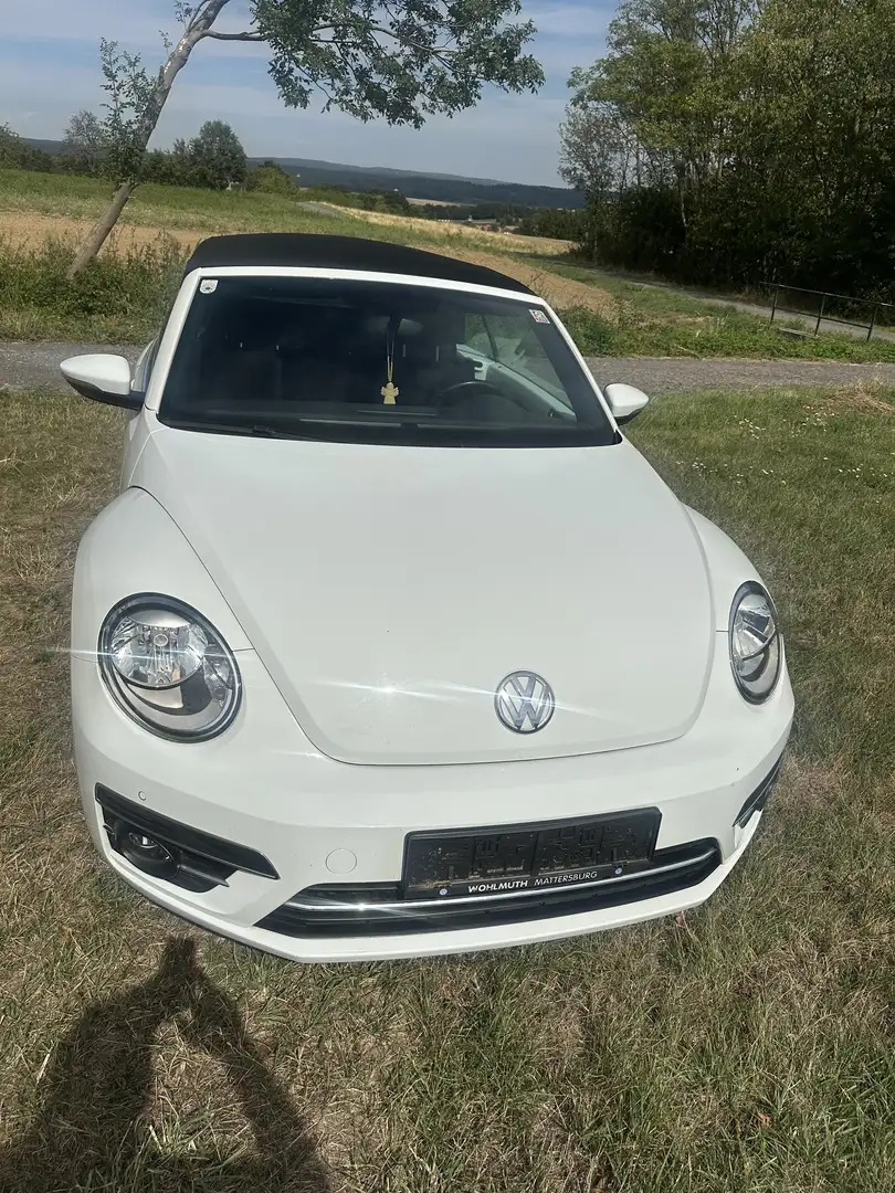 Volkswagen Beetle Cabrio 1,2 TSI - 1
