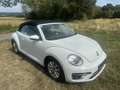 Volkswagen Beetle Cabrio 1,2 TSI - thumbnail 3