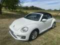 Volkswagen Beetle Cabrio 1,2 TSI - thumbnail 4