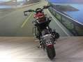 Benelli Leoncino 500 Rot - thumbnail 4