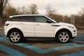 Land Rover Range Rover Evoque Evoque 2.2 SD4 - BVA  Dynamic Weiß - thumbnail 4