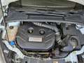 Ford Focus RS  Service neu / Sommerreifen neu, Transport mögl Weiß - thumbnail 13