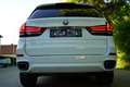 BMW X5 xDrive 30d Weiß - thumbnail 9