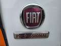 Fiat Talento (Stock ID 99269) Wit - thumbnail 14