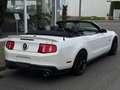 Ford Mustang GT 5.0 V8 Cabrio *Kamera*Navi *PRINZ GAS Weiß - thumbnail 5