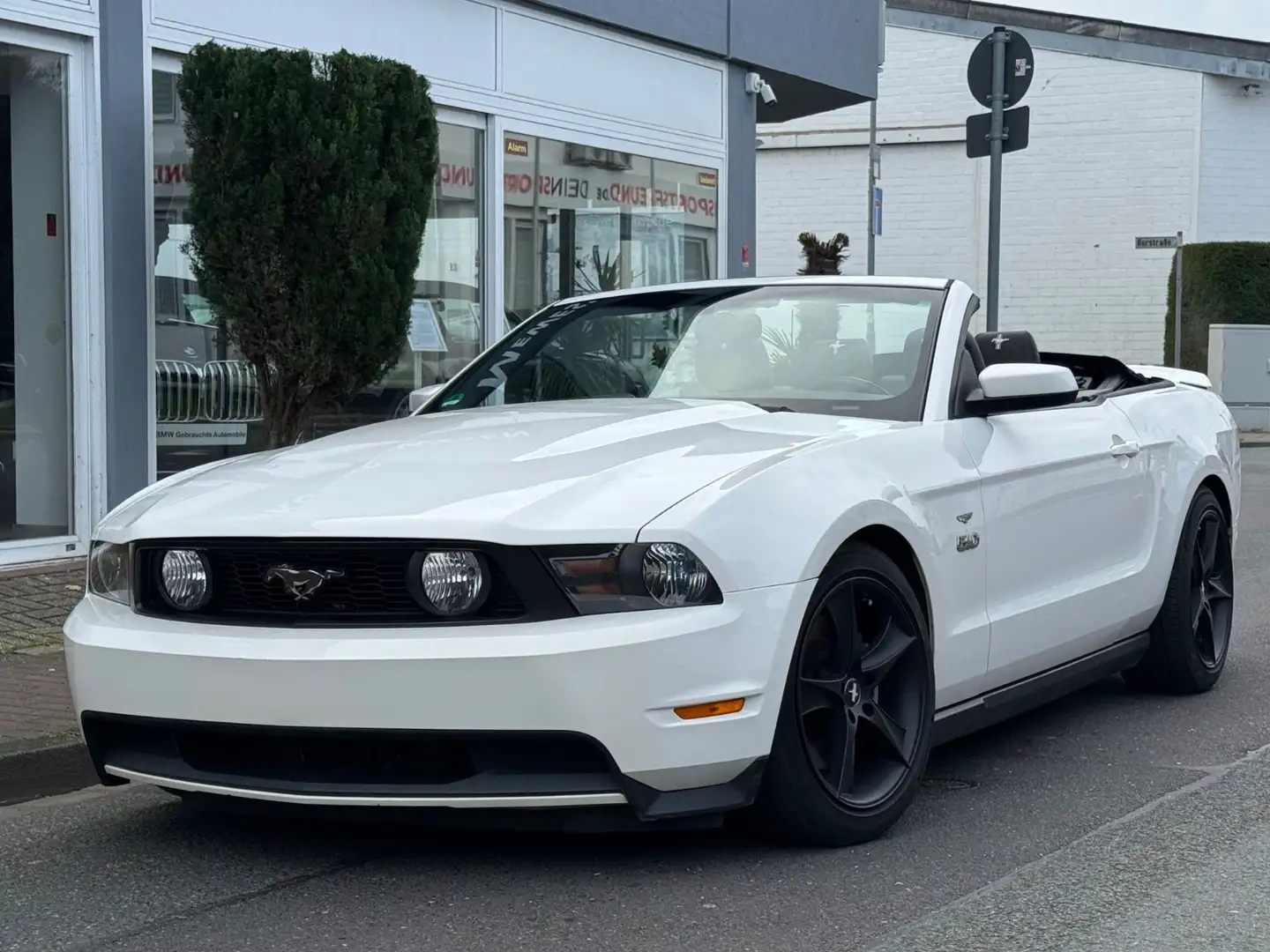 Ford Mustang GT 5.0 V8 Cabrio *Kamera*Navi *PRINZ GAS Weiß - 1