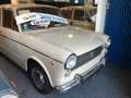 Fiat 1100 R - ISCRITTA ASI Beige - thumbnail 1