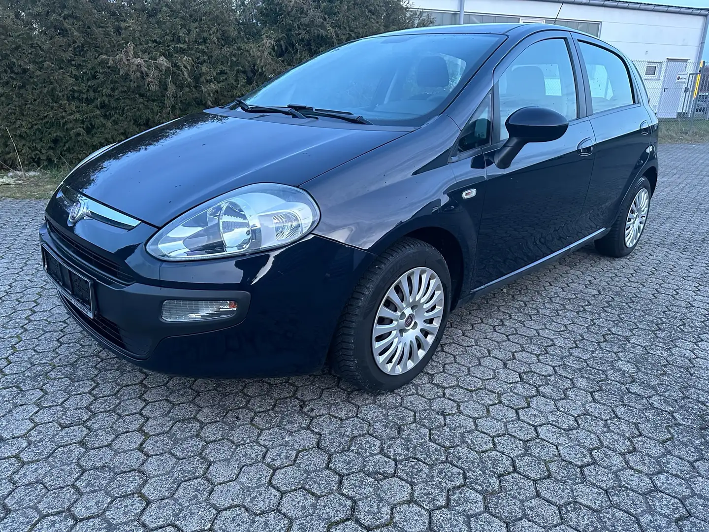 Fiat Punto Dynamic mit Klima * Inspektion Neu * Garantie Blau - 1