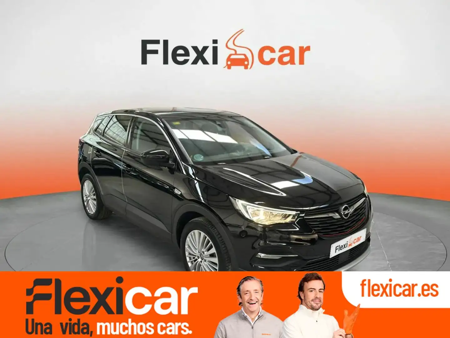 Opel Grandland X 1.6CDTi S&S Business 120 Negro - 1