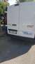Renault Trafic van 3 Bianco - thumbnail 12