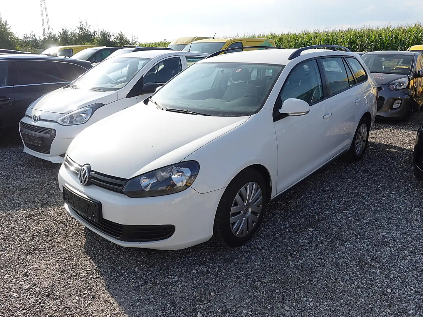 Volkswagen Golf 1,6 TDI Weiß - 2