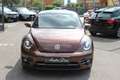 Volkswagen Maggiolino 1.2 TSI ALLSTAR SPORT 6 MARCE PER NEOPATENTATI Bronze - thumbnail 2