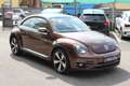 Volkswagen Maggiolino 1.2 TSI ALLSTAR SPORT 6 MARCE PER NEOPATENTATI Bronze - thumbnail 3