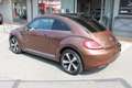 Volkswagen Maggiolino 1.2 TSI ALLSTAR SPORT 6 MARCE PER NEOPATENTATI Bronze - thumbnail 6