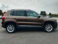 Volkswagen Tiguan 2.0 tdi Track 4x4 neopatentati 95000km Marrone - thumbnail 3